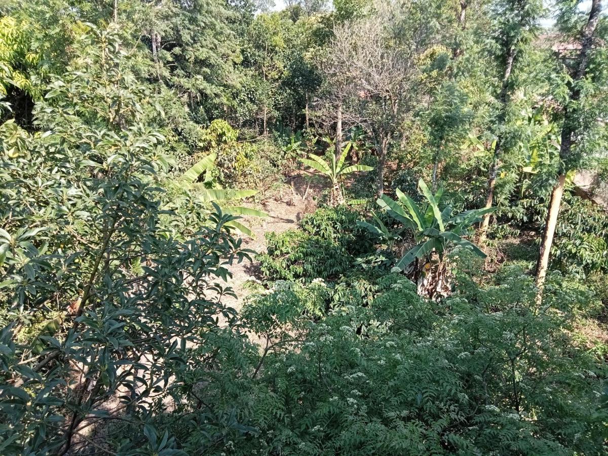 Krupa Homestay Madikeri Ngoại thất bức ảnh